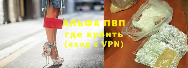 прущие грибы Нязепетровск