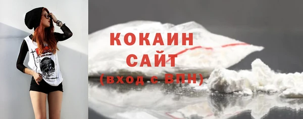 кокс Няндома