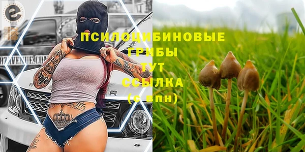 сатива Ельня