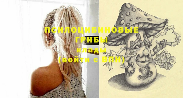 кокс Няндома