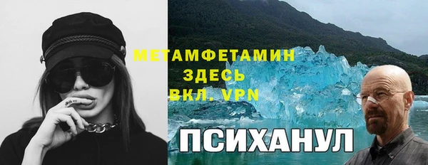 прущие грибы Нязепетровск