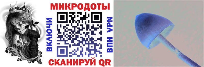 Псилоцибиновые грибы прущие грибы  закладки  Арсеньев 