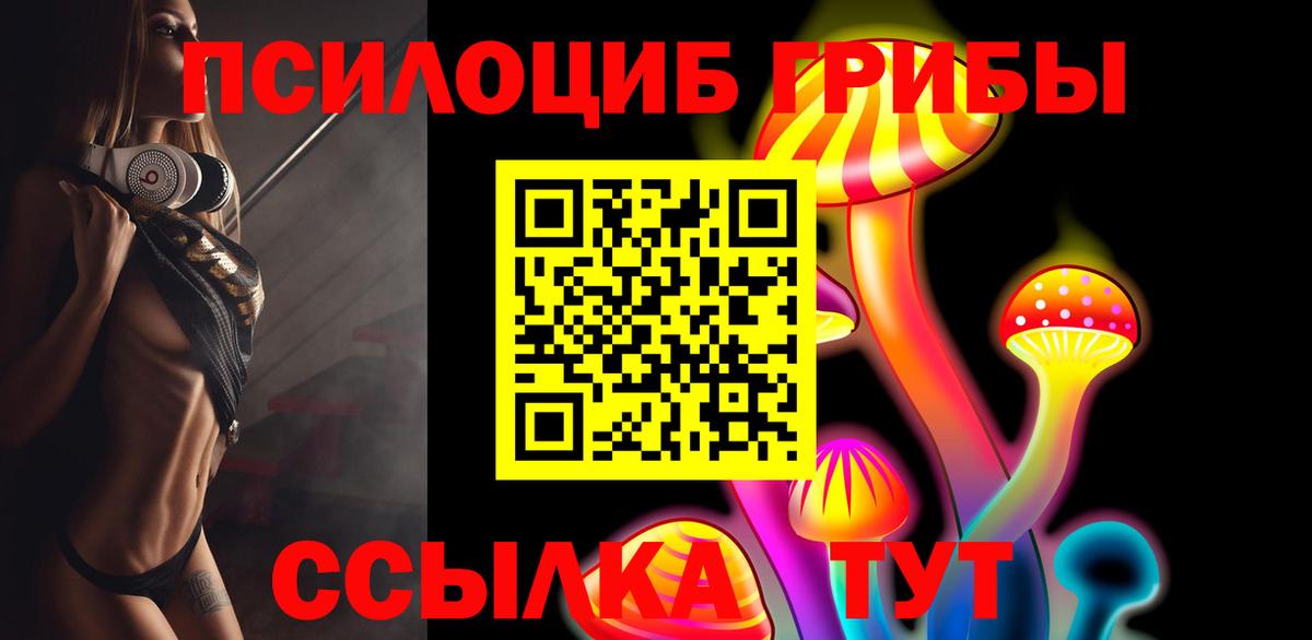 Псилоцибиновые грибы мицелий  Арсеньев 